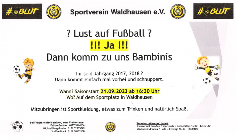 Read more about the article Lust auf Bambini Fußball ?
