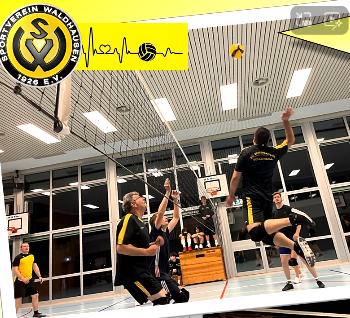 Mehr über den Artikel erfahren Bilder vom Volleyball Spieleabend